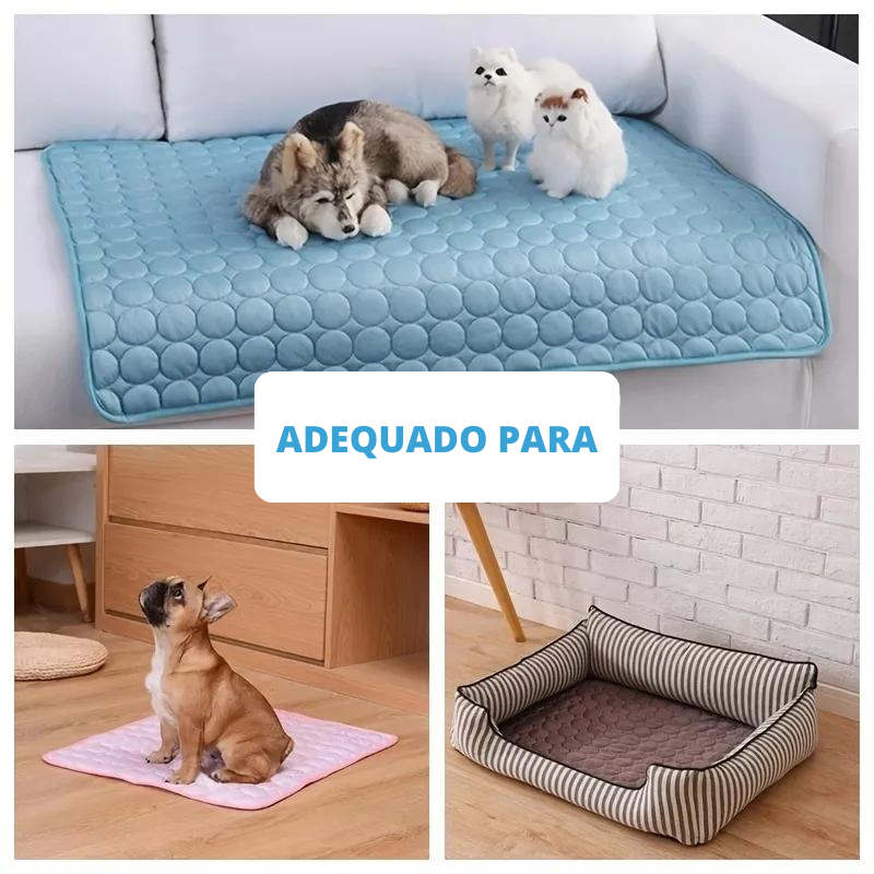 Tapete Gelado Pet Para Cães e Gatos - Compre 1 Leve 2