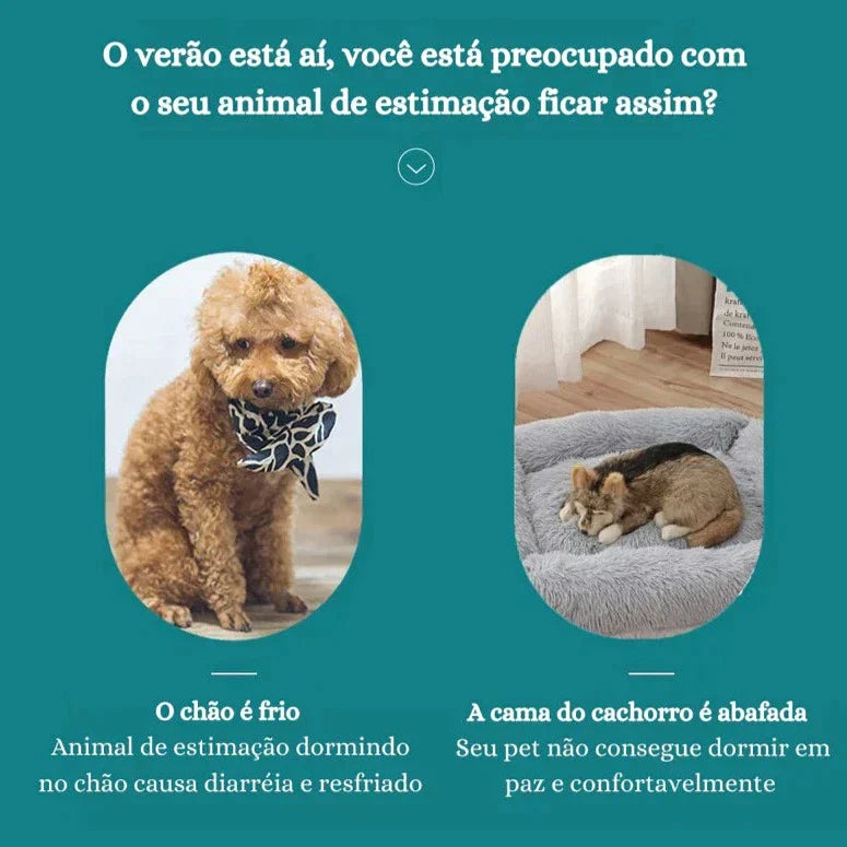 Tapete Gelado Pet Para Cães e Gatos - Compre 1 Leve 2