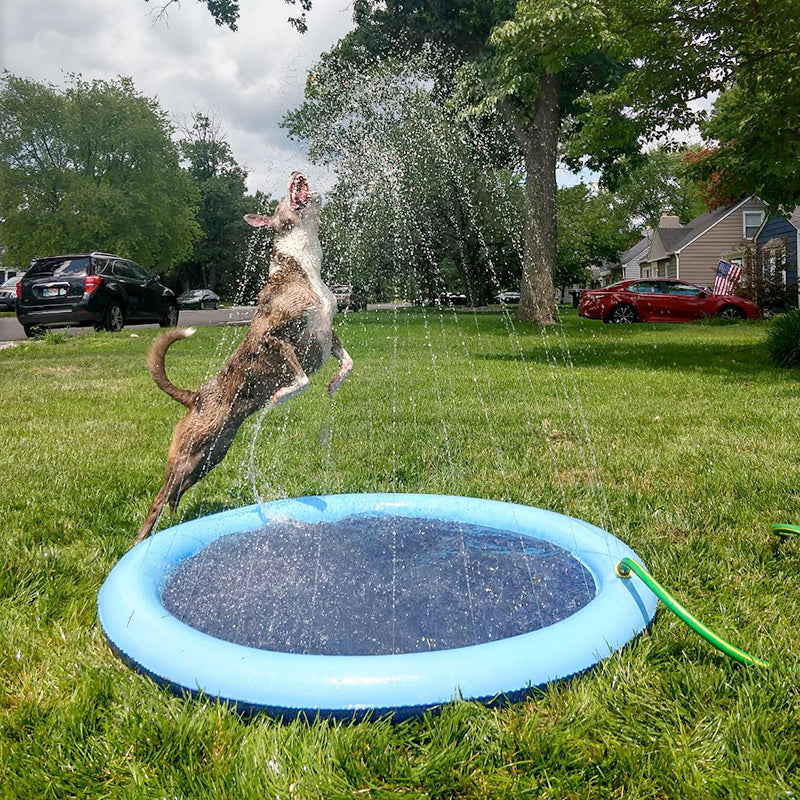 Piscina Inflável para Pets Irasshai